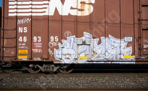 NS469395