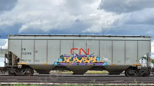 CN113290