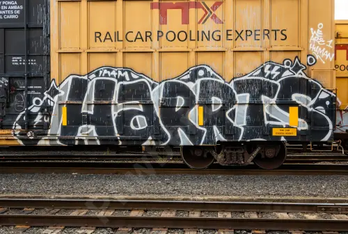 TBOX638463