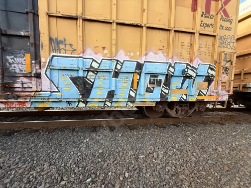 FBOX504133