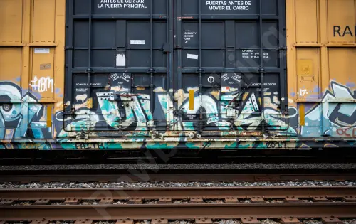 TBOX638114