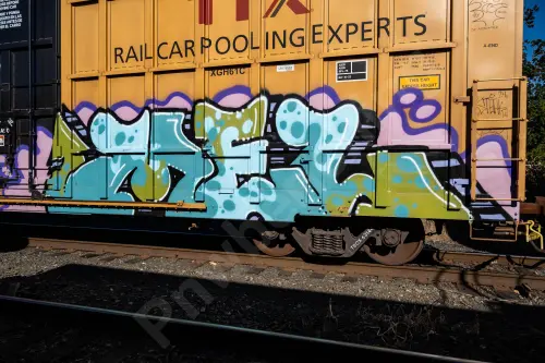 TBOX631441
