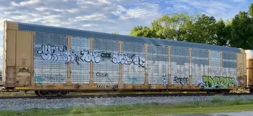 Train photo