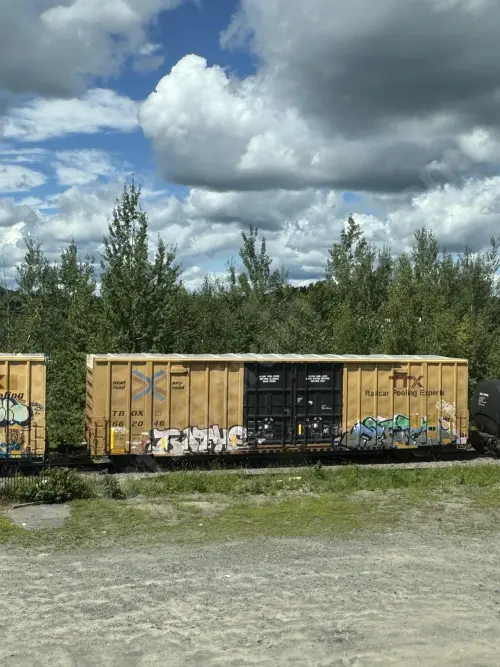 TBOX662046