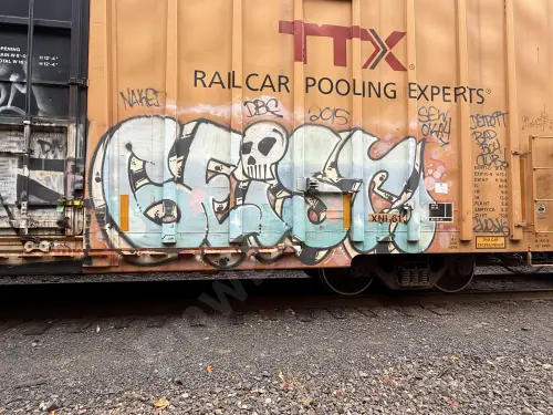 TBOX667823