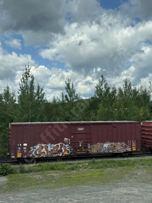 TR110045