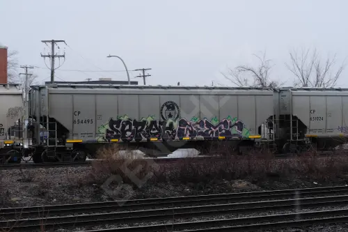 CP654495