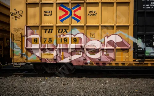 TBOX675199