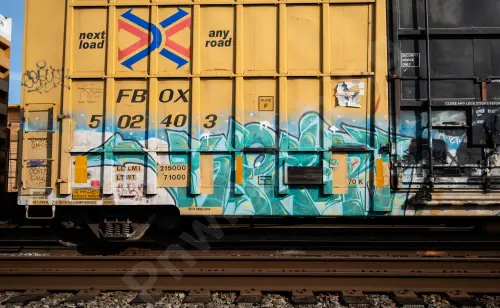 FBOX502403