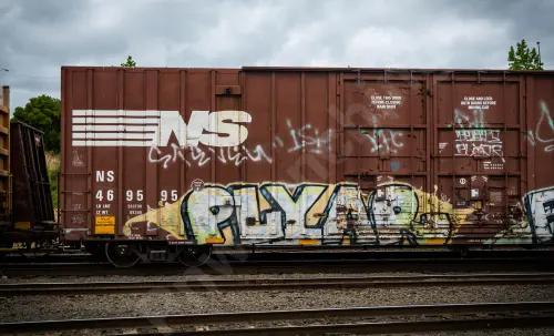 NS469595