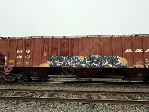 Train photo