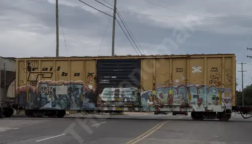 Train photo