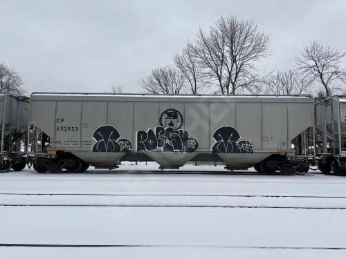 CP653923