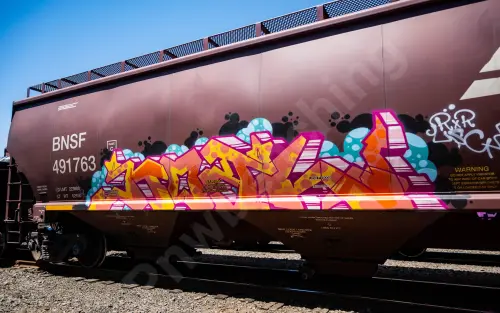 BNSF491763