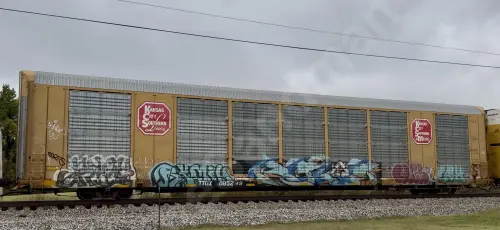 TTGX695249