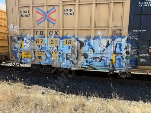 TBOX673119