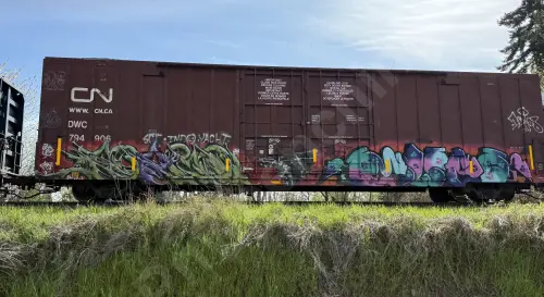 DWC794906