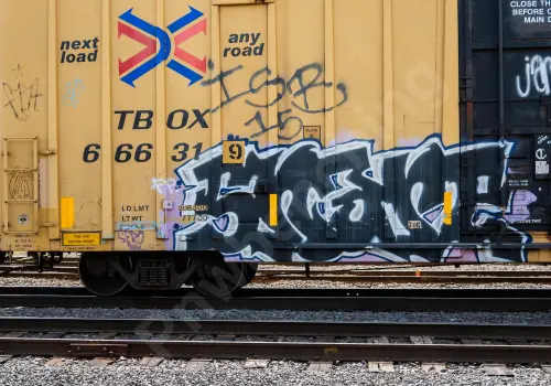 TBOX666319