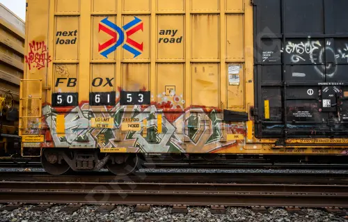 FBOX506153