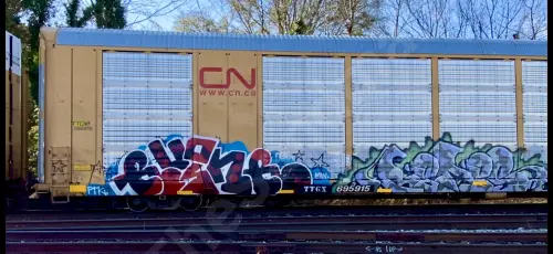 TTGX695915