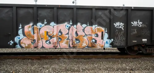 CHTT214237
