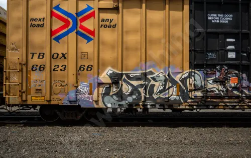 TBOX662366