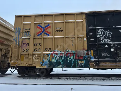 FBOX506202