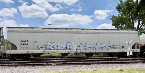 Train photo