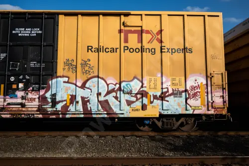 TBOX661304