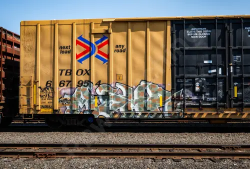 TBOX667954