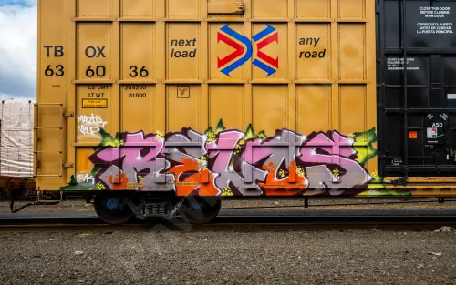 TBOX636036