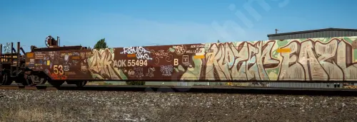 AOK55494