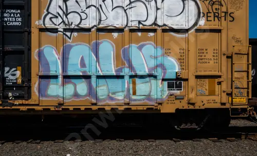 FBOX506718