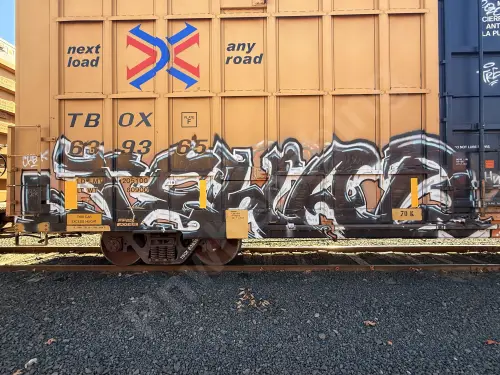 TBOX639365