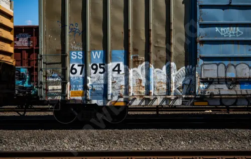 SSW67954