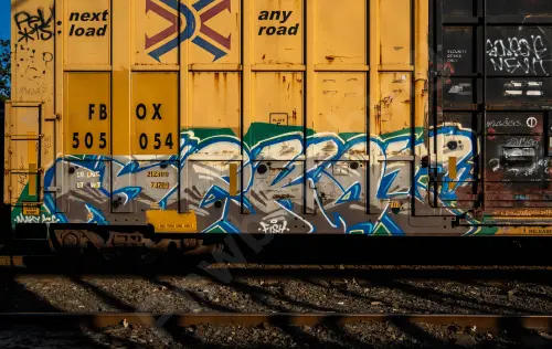 FBOX505054