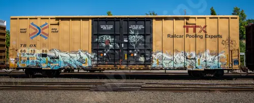 TBOX661386