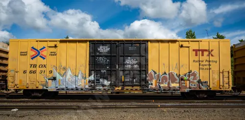 TBOX666319