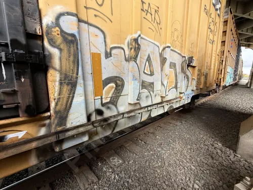 TBOX666425