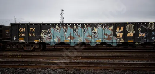 GNTX295815