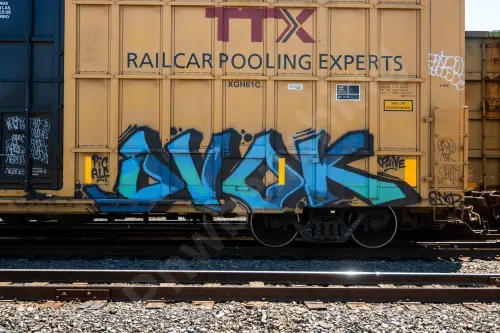 TBOX631397