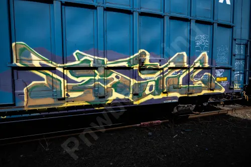 LRS130272