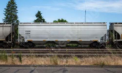 Train photo