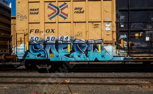FBOX505064