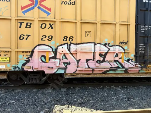 TBOX672986