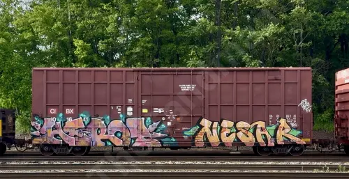 CIBX101641