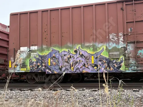 TR18207