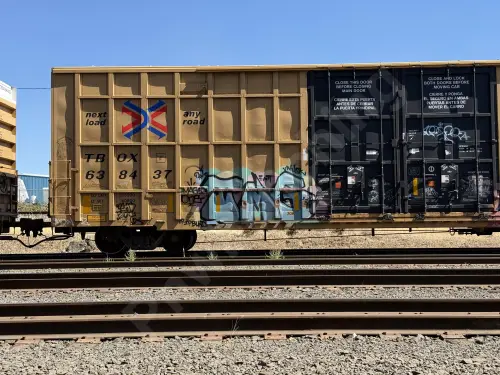 TBOX638437
