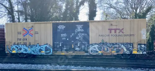 TBOX667355