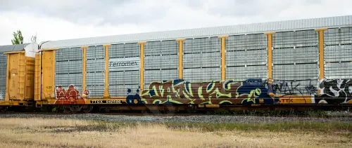 TTGX942586